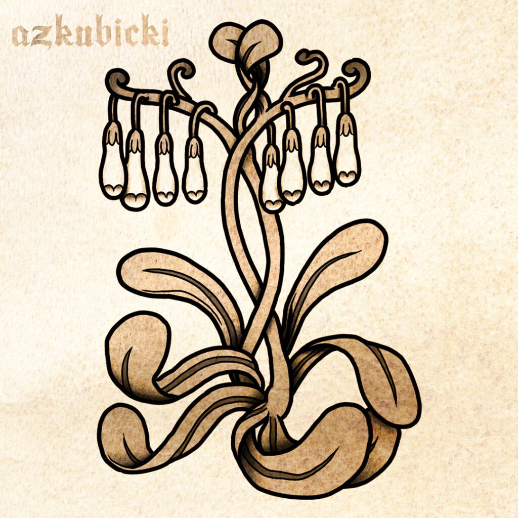 Foxglove - Medieval Bestiary Flash Sheet | AZ Kubicki